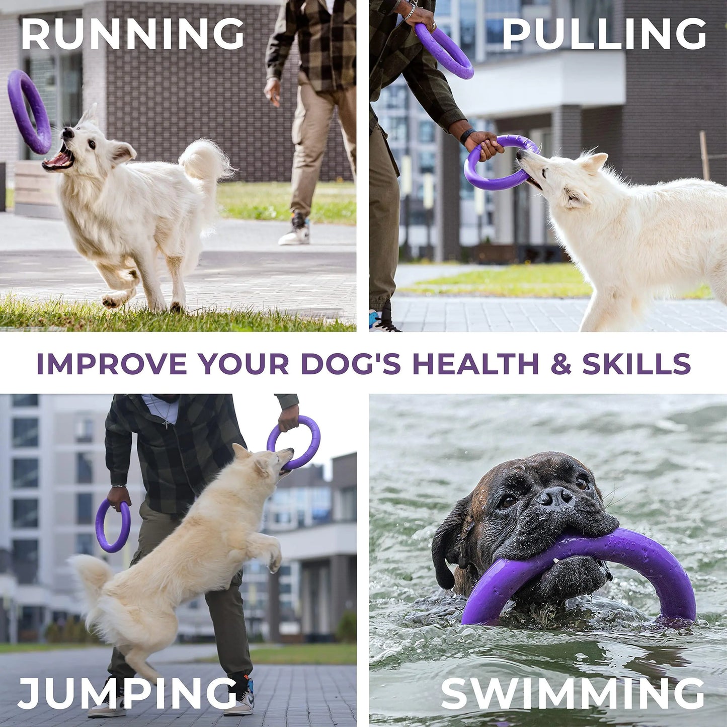 AquaFetch Dog Play Rings