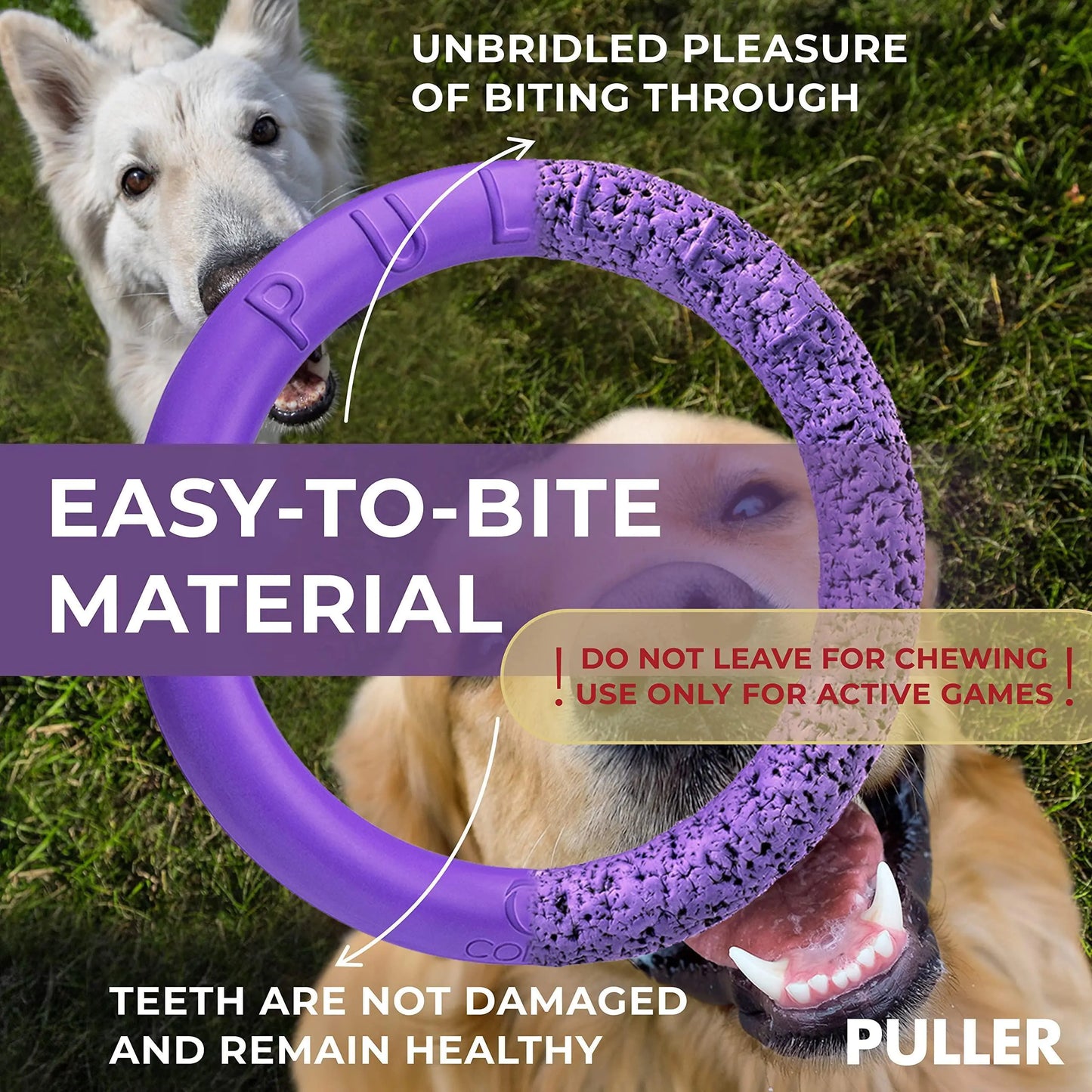 AquaFetch Dog Play Rings